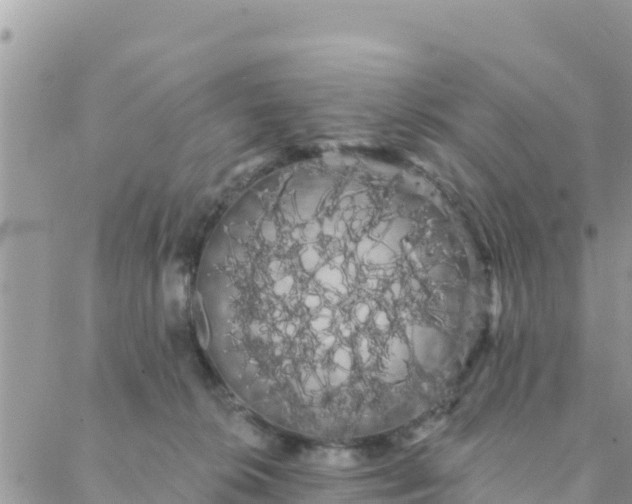 X0000088590276200706011145