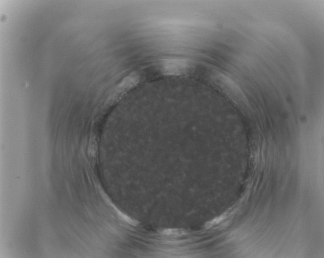 X0000088590277200706011145