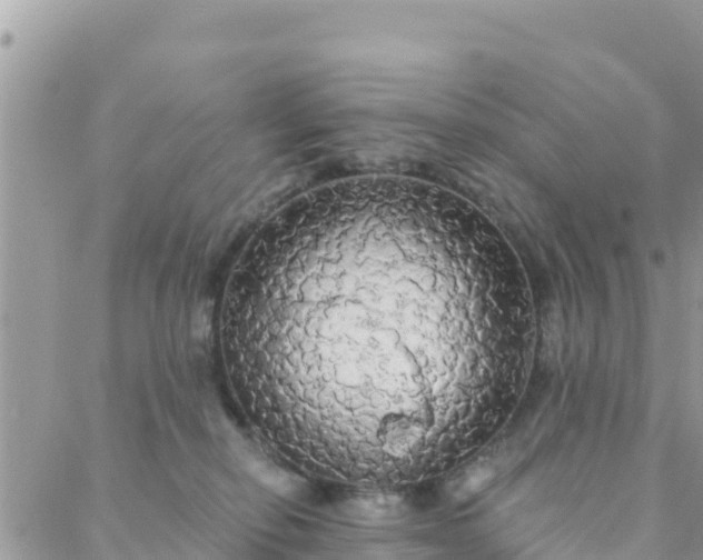 X0000088590278200706011145