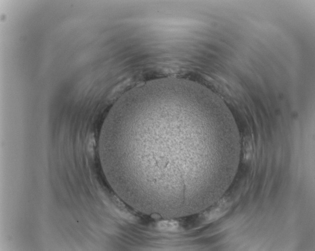 X0000088590279200706011145