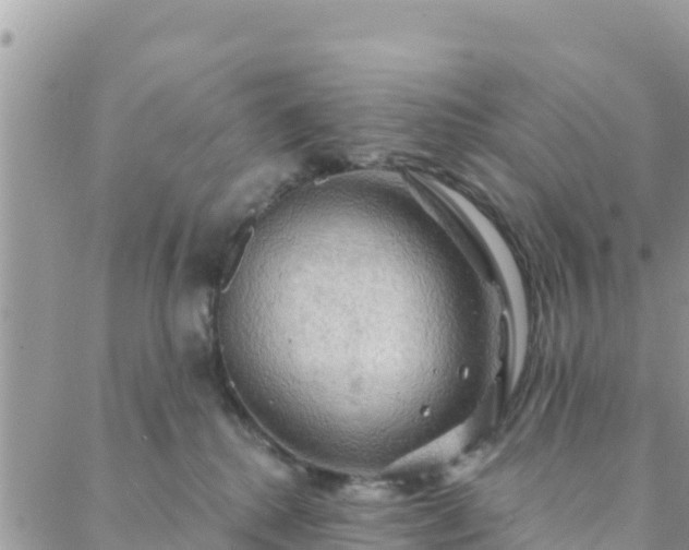 X0000088590280200706011145