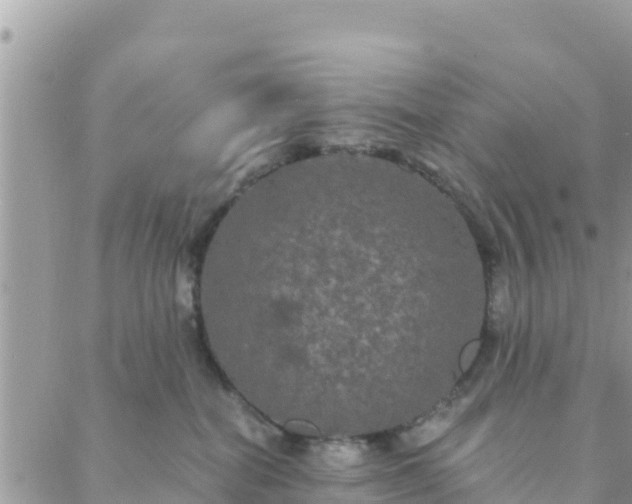 X0000088590282200706011145