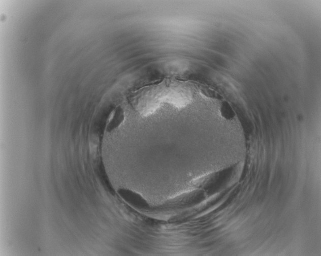 X0000088590283200706011145