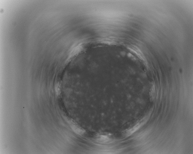 X0000088590285200706011145