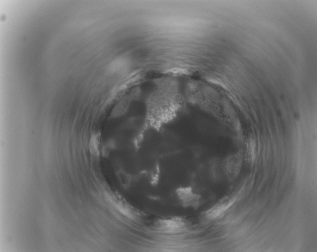 X0000088590286200706011145