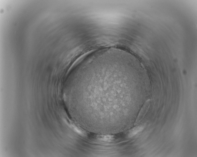 X0000088590288200706011145