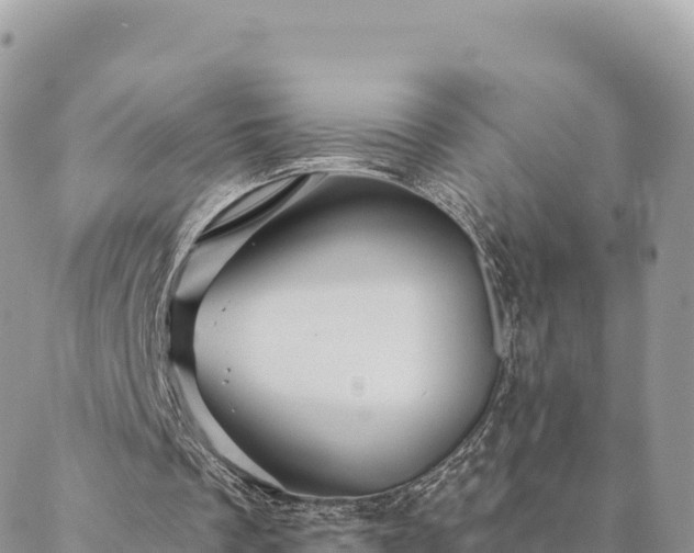 X0000088590289200706011144