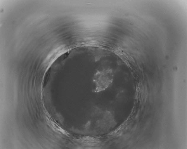 X0000088590290200706011144