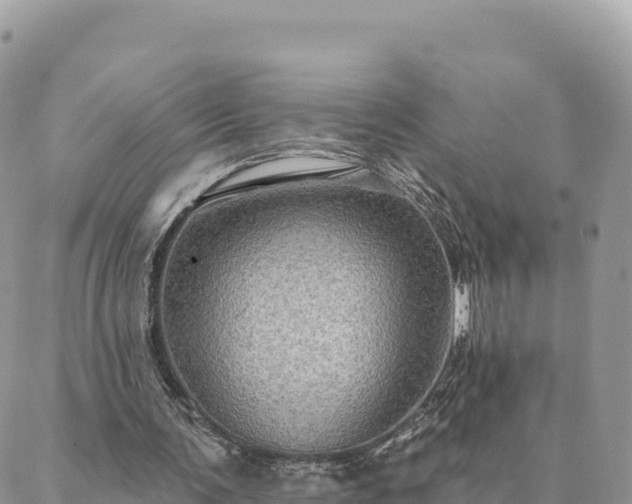 X0000088590291200706011144