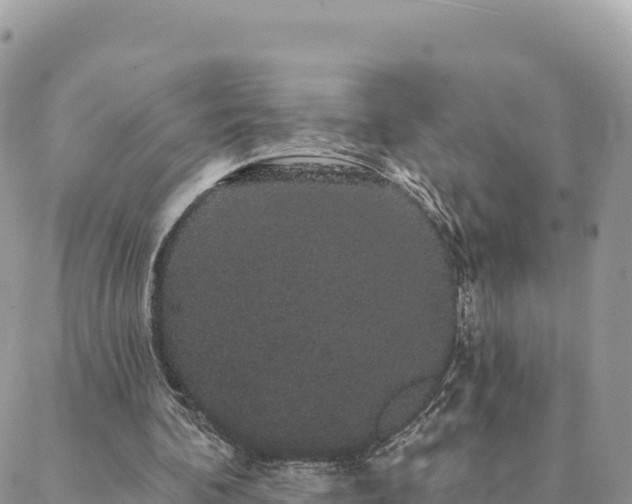 X0000088590292200706011144