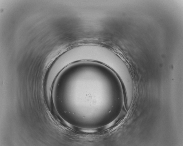 X0000088590293200706011144