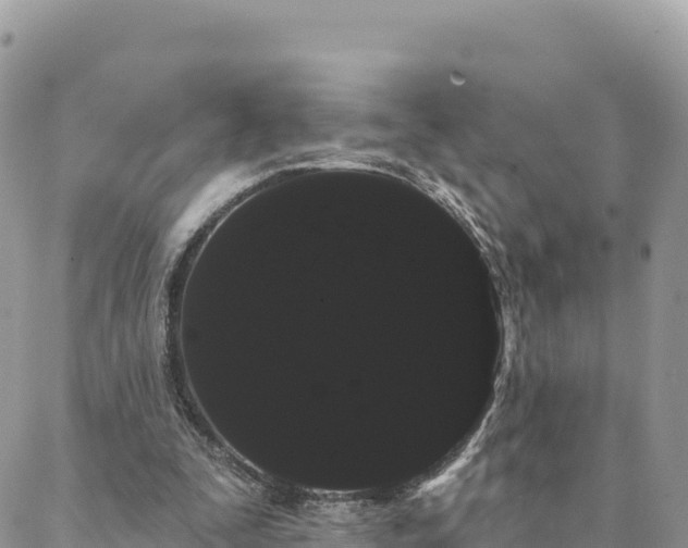 X0000088590295200706011144