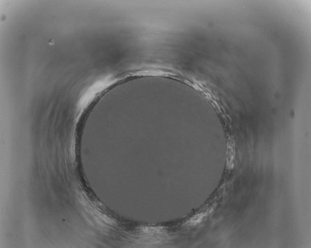 X0000088590296200706011144