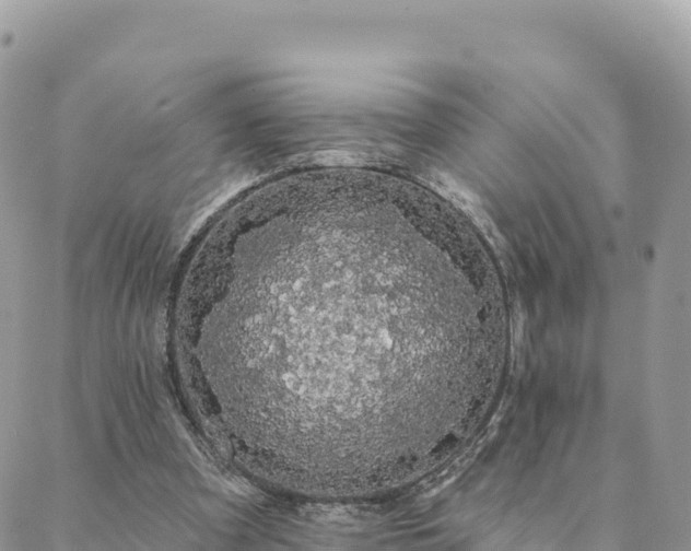 X0000088590297200706011144