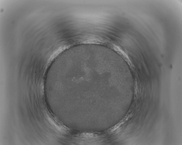 X0000088590298200706011144