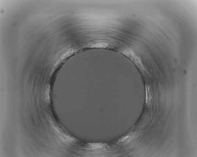 X0000088590300200706011144