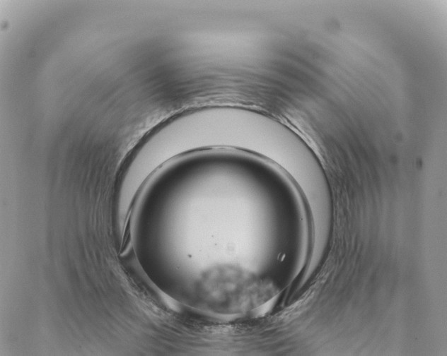 X0000088590301200706011144