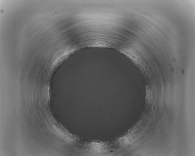 X0000088590302200706011144