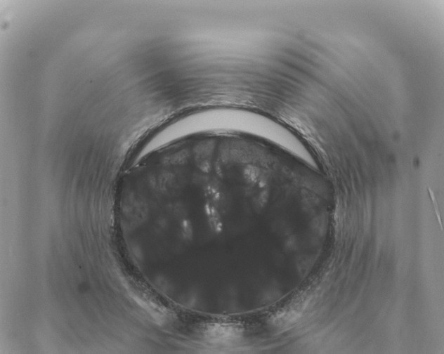 X0000088590303200706011144