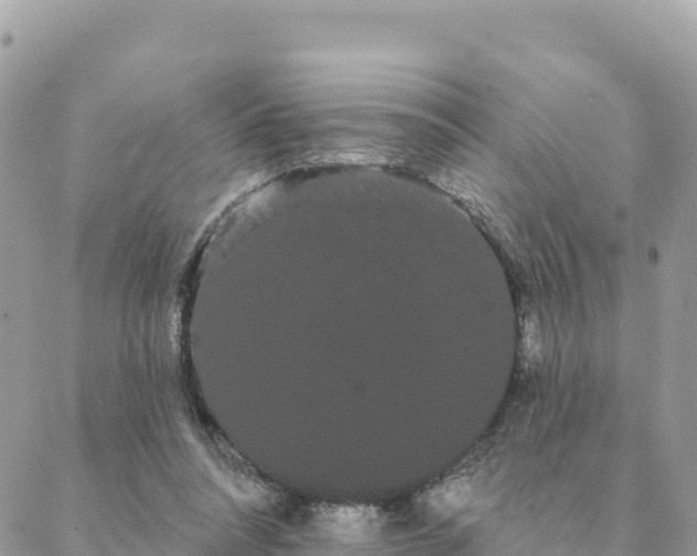 X0000088590304200706011144