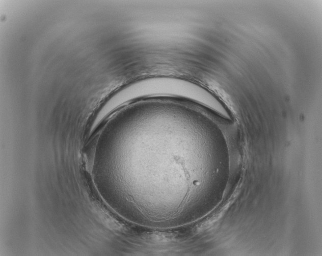 X0000088590305200706011144