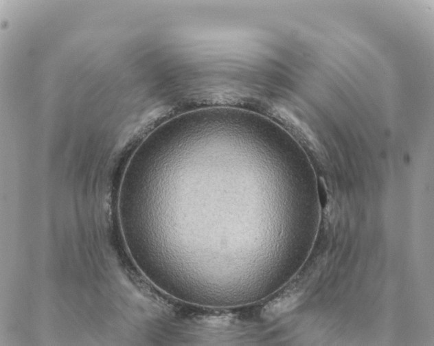 X0000088590306200706011144