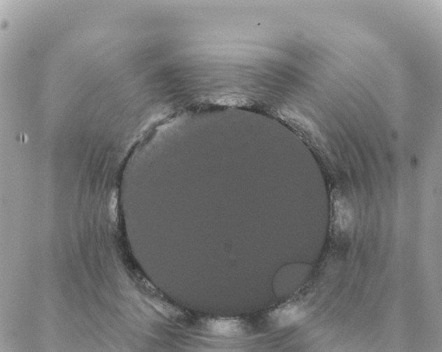 X0000088590308200706011144