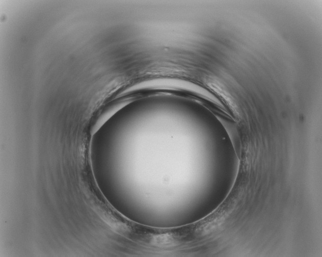 X0000088590309200706011144