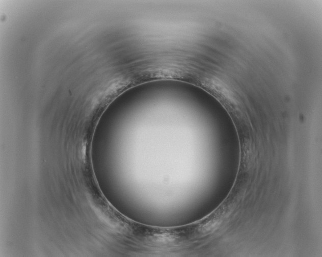 X0000088590310200706011144