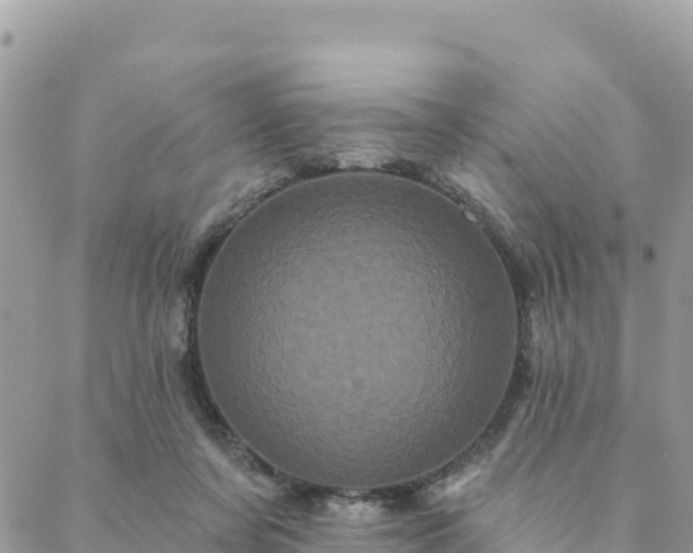 X0000088590311200706011144