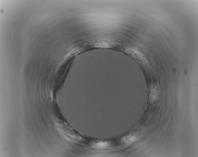 X0000088590312200706011144