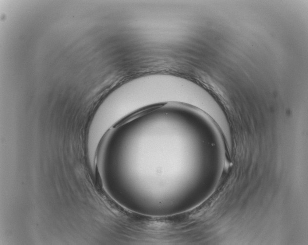 X0000088590313200706011144