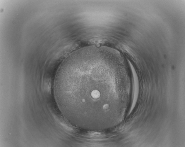 X0000088590315200706011144