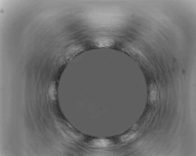 X0000088590316200706011144