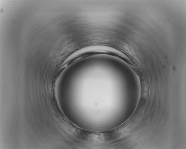 X0000088590317200706011144