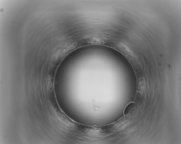 X0000088590318200706011144