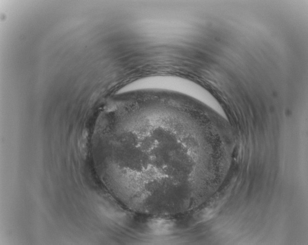 X0000088590319200706011144