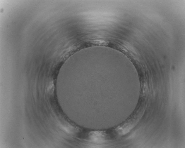 X0000088590320200706011144