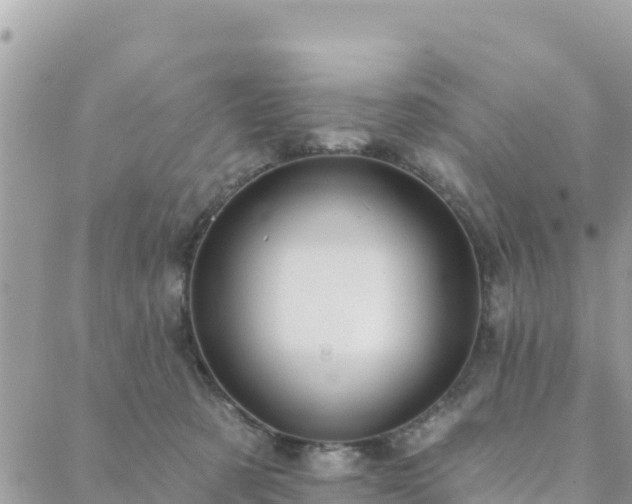 X0000088590321200706011144