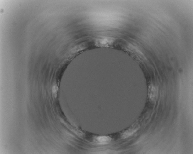 X0000088590324200706011144