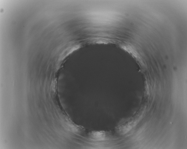 X0000088590325200706011144