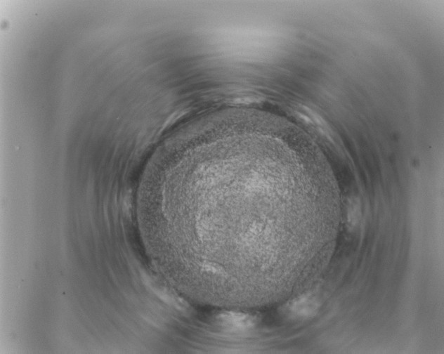 X0000088590326200706011144