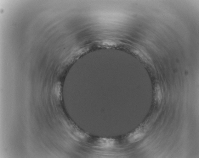 X0000088590328200706011144