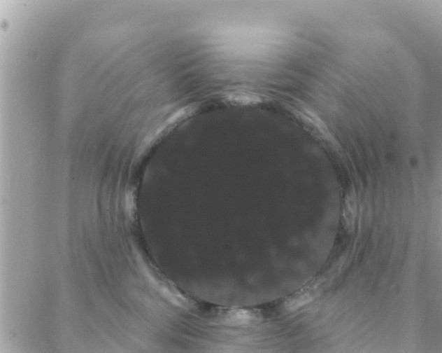 X0000088590330200706011144