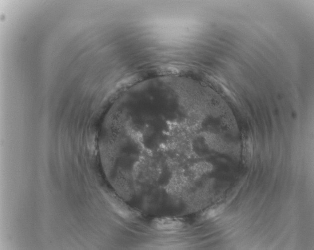 X0000088590331200706011144