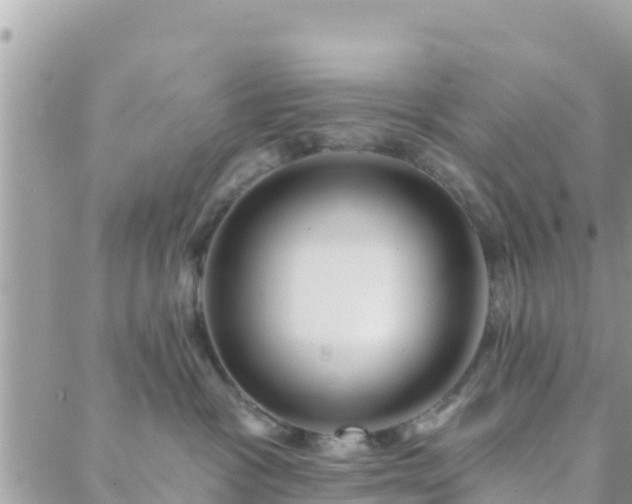 X0000088590333200706011144