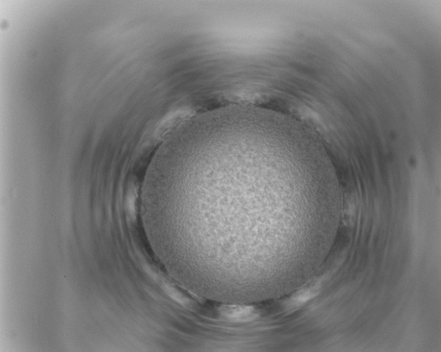 X0000088590334200706011144