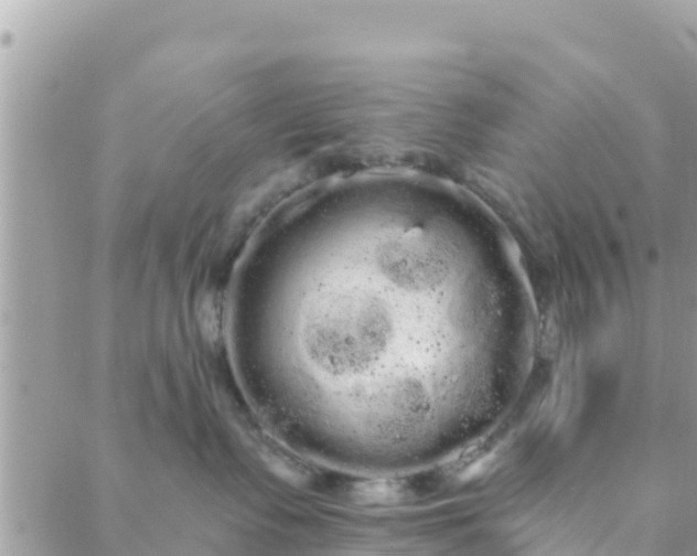 X0000088590335200706011144