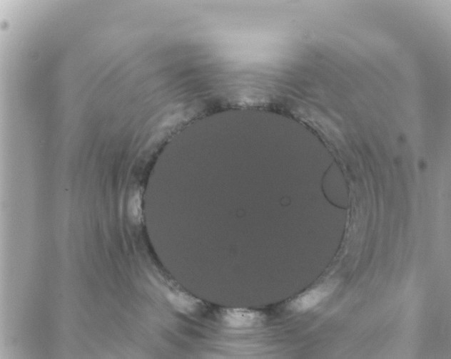 X0000088590336200706011144