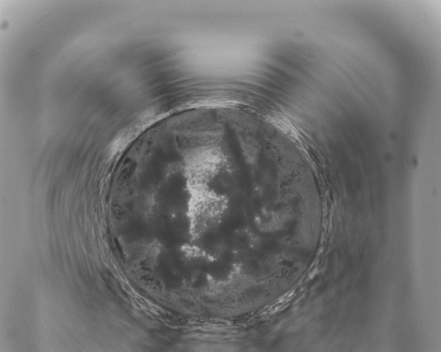 X0000088590337200706011143